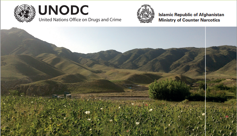 00_UNODC-AOS-2014_Cover